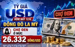 Tỷ giá USD hôm nay 12/6: Đồng Đô la Mỹ chợ đen ở mức 26.332 đồng/USD