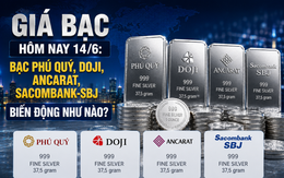 Giá bạc hôm nay 14/6: Bạc Phú Quý, Doji, Ancarat, Sacombank-SBJ biến động như nào?