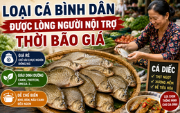 Loại cá bình dân được lòng người nội trợ thời bão giá