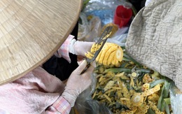 Tiểu thương lý giải nguyên nhân loại dứa có giá đắt gấp đôi dứa thường nhưng vẫn chiếm được cảm tình của người tiêu dùng