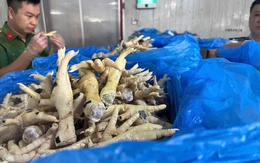 Khởi tố vụ buôn lậu hơn 10.000 tấn chân gà đông lạnh, thu giữ trên 2.000 tấn hàng hóa