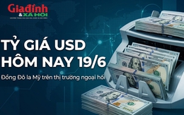 Tỷ giá USD hôm nay 19/6: Đồng Đô la Mỹ chợ đen chững giá liên tục mấy ngày liền