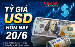 Tỷ giá USD hôm nay 20/6: Đồng Đô la Mỹ 'chợ đen' bán ra 26.600 đồng/USD