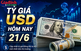 Tỷ giá USD hôm nay 21/6: Đồng Đô la Mỹ giữ ổn định cả khối ngân hàng và chợ đen
