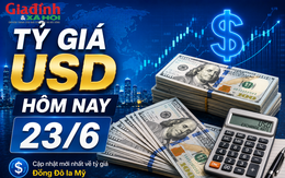 Tỷ giá USD hôm nay 23/6: Biến động trái chiều của đồng Đô la Mỹ ở khối ngân hàng và 'chợ đen'
