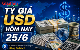 Tỷ giá USD hôm nay 25/6: Đồng Đô la Mỹ nối dài đà tăng cả khối ngân hàng và chợ đen