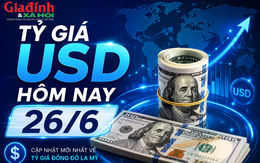 Tỷ giá USD hôm nay 26/6: Đồng Đô la Mỹ đồng loạt giảm cả khối ngân hàng và chợ đen