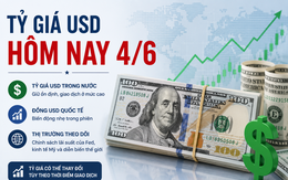 Tỷ giá USD hôm nay 4/6: Đồng Đô la Mỹ thị trường tự do phục hồi