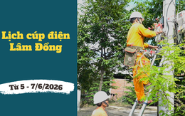 Lịch cúp điện Lâm Đồng từ ngày 5 – 7/6/2026: Điểm danh những khu vực bị cúp điện liên tục trong ngày để sữa chữa