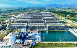 Tổ hợp chăn nuôi lợn nhà cao tầng công nghệ cao Hà Nội: Giải pháp đột phá hay bài toán môi trường mới?