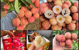 Một loại quả đặc sản của Việt Nam chính thức chinh phục thị trường Mỹ