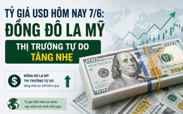 Tỷ giá USD hôm nay 7/6: Đồng Đô la Mỹ thị trường tự do tăng nhẹ, giá bán 26.401 đồng/USD