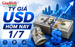 Tỷ giá USD hôm nay 1/7: Đồng Đô la Mỹ tăng nhẹ khối ngân hàng, thị trường tự do ổn định