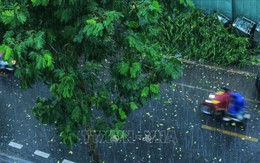 Thời tiết hôm nay (11/7): Nhiều nơi có mưa to đến rất to