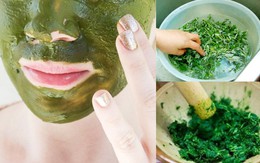 Cách trị nám bằng ngải cứu và những lưu ý khi sử dụng