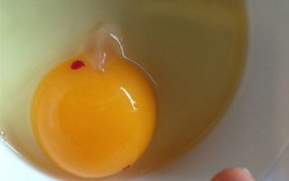 Lòng đỏ trứng gà có đốm máu ăn được không?