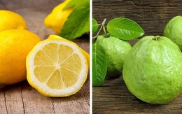 Ổi và chanh, loại quả nào chứa nhiều vitamin C hơn? Kết quả khiến nhiều người bất ngờ