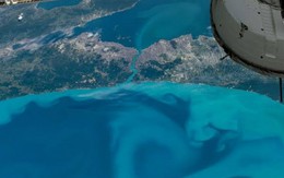 Ảnh hiếm vùng biển đổi màu từ vũ trụ: Vòng xoáy xanh khổng lồ hiện rõ, NASA phải chú ý