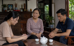 Mẹ chia cho tôi nửa mảnh đất để xây nhà sau ly hôn, câu nói của anh trai khiến tôi day dứt khôn nguôi