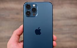 iPhone cũ đáng mua nhất hiện tại: Chỉ từ 9 triệu đồng vẫn sang xịn được nhiều người săn đón