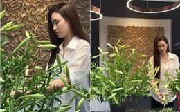 Hoa hậu Đỗ Thị Hà khoe bình hoa loa kèn gây sốt, dân mạng tranh luận một chi tiết