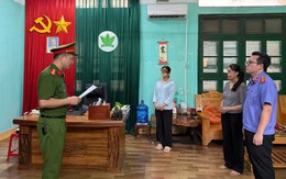 Khởi tố Chủ tịch HĐQT Công ty Cổ phần Sản xuất phân bón Hà Bắc