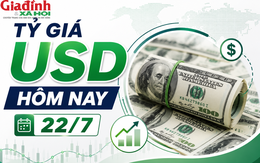 Tỷ giá USD hôm nay 22/7: Đồng tiền chủ chốt USD, EUR, JPY, GBP, CAD, SEK, CHF đã tăng giảm thế nào?
