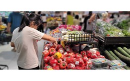 Loại quả giàu vitamin C tốt cho mắt, hỗ trợ ngừa đột quỵ cho người tuổi trung niên, ăn sống hay nấu chín đều ngon