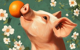 Được cát tinh nâng đỡ, 4 con giáp ngập tràn tài lộc và tin vui vào tuần sau