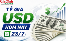 Tỷ giá USD hôm nay 23/7: USD 'hạ nhiệt' trong ngân hàng, chợ đen đứng yên giữa lúc DXY giữ 101 điểm