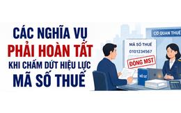 Người nộp thuế cần làm gì khi chấm dứt hiệu lực mã số thuế