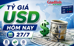 Tỷ giá USD hôm nay 27/7: Đồng Đô la Mỹ 'chợ đen' bán ra ở vùng 26.403 đồng/USD