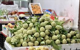 Loại quả đặc sản thơm ngon, ngọt lịm đang vào mùa, tiểu thương nhập hàng tạ mỗi ngày vẫn ‘cháy hàng’