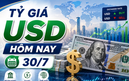 Tỷ giá USD hôm nay 30/7: Đồng Đô la Mỹ tỷ giá trung tâm tại Ngân hàng Nhà nước tiếp tục lập đỉnh