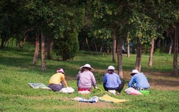 Khóa cửa cấm mẹ 76 tuổi đi làm, con trai đổi thái độ khi nhìn thấy cuốn sổ tiết kiệm