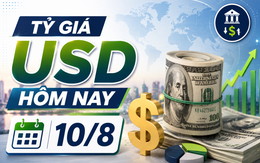 Tỷ giá USD hôm nay 10/8: Đồng Đô la Mỹ khối ngân hàng thương mại bán ra quanh mức 26,400 đồng/USD