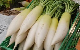 Đây mới là loại rau xanh giàu vitamin ăn cực tốt nên bổ sung hàng ngày