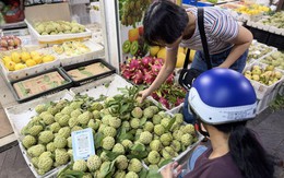Na dai gắn mác 'Đồng Bành' bán đầy thị trường, tiểu thương chỉ cách chọn hàng 'chuẩn' mua một lần nhớ mãi