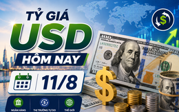 Tỷ giá USD hôm nay 11/8: Đồng Đô la Mỹ thị trường 'chợ đen' tiếp tục giảm