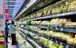 Rau quả Việt Nam 'chinh phục' kỉ lục mới, trong một tháng vượt 1 tỷ USD 