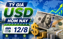 Tỷ giá USD hôm nay 12/8: Đồng Đô la Mỹ khối ngân hàng thương mại tiếp tục giảm