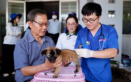 Hà Nội mở rộng điểm tiêm vắc xin dại đến tận xã, phường, hỗ trợ kinh phí điều trị cho người dân sau phơi nhiễm bệnh dại