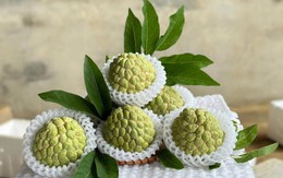 Tiểu thương lý giải giá na dai Đồng Bành cao hơn so với những loại khác nhưng vẫn được người tiêu dùng đặt mua không ngớt