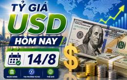 Tỷ giá USD hôm nay 14/8: Đồng Đô la Mỹ khối ngân hàng thương mại đảo chiều tăng