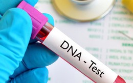 Cô gái lạ dắt đứa trẻ và giấy xét nghiệm ADN đến nhận cha khi chồng tôi vừa mất