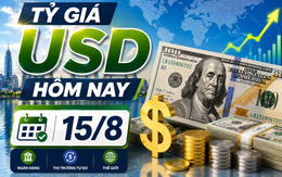Tỷ giá USD hôm nay 15/8: Đồng Đô la Mỹ 'chợ đen' vẫn chững giá