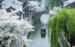 Giờ sinh Âm lịch của người có số gặp quý nhân: Sự nghiệp càng làm càng lên như diều gặp gió