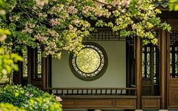 Ngày sinh Âm lịch của người 'khổ trước sướng sau': Trung niên tiền bạc sẽ đủ đầy