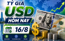 Tỷ giá USD hôm nay 16/8: Đồng Đô la Mỹ tiếp tục chịu sức ép