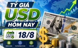 Tỷ giá USD hôm nay 18/8: Biến động trái chiều của Đồng Đô la Mỹ khối ngân hàng và 'chợ đen' 